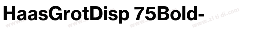 HaasGrotDisp 75Bold字体转换